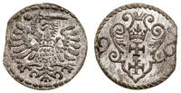 denar 1596, Gdańsk, wycięty z końcówki blaszki, 