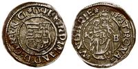 denar 1541 KB, Kremnica, srebro, 0.46 g, patyna,