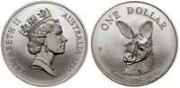 1 dolar 1995, Canberra, Kangur, ząbkowane obrzeż