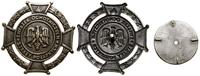 Polska, odznaka Związku Ochotniczych Straży Pożarnych