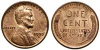 Stany Zjednoczone Ameryki (USA), 1 cent, 1955 S