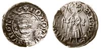 denar 1366–1379, Aw: Tarcza andegaweńska, wokół 