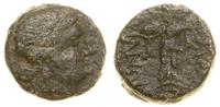 brąz ok. 350–250 pne, Aw: Głowa Ateny w diademie