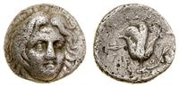 drachma ok. 304–166 pne, Aw: Głowa Heliosa na wp