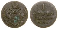 1 grosz polski 1816 IB, Warszawa, patyna, Bitkin
