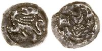 denar ok. 1240–1268, Aw: Lew wspięty w lewo, Rw: