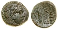 brąz ok. 325–310 pne, Aw: Głowa Heraklesa w praw