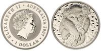 1 dolar 2007, Miś panda, srebro "999" 31.44 g, s