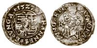 denar 1527, Kremnica, Aw: Tarcza herbowa, wokoło
