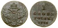 1 grosz polski 1816 IB, Warszawa, zielona patyna