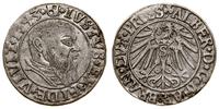 grosz 1543, Królewiec, końcówka legendy PRVSS, S