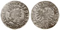 grosz 1531, Toruń, końcówki legendy PRVS / PRVSS