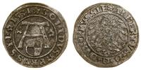 szeląg 1531, Królewiec, patyna, Slg. Marienburg 