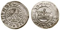 Polska, półgrosz, 1507