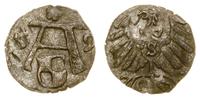 denar 1559, Królewiec, patyna, rzadki, Kop. 3754