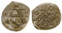 denar 1563, Królewiec, patyna, bardzo ładny, Kop