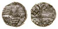 Węgry, parwus, 1387–1427
