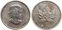 5 dolarów 2009, Ottawa, Liść Klonu, srebro próby