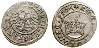 Polska, półgrosz, 1507