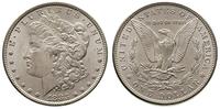dolar 1883, Filadelfia, typ Morgan