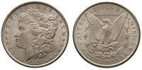 dolar 1889, Filadelfia, typ Morgan