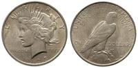 dolar 1923, Filadelfia, typ Peace