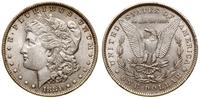 Stany Zjednoczone Ameryki (USA), 1 dolar, 1881