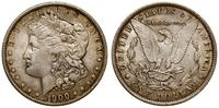 Stany Zjednoczone Ameryki (USA), 1 dolar, 1900