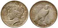 Stany Zjednoczone Ameryki (USA), 1 dolar, 1924