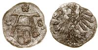 denar 1558, Królewiec, wyjątkowo rzadki rocznik,