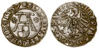 szeląg 1557, Królewiec, na awersie nad Orłem kon