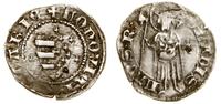 denar 1358–1371, Aw: Tarcza andegaweńska, wokół 