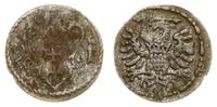 denar 1591, Gdańsk, rdzawa patyna na rewersie, C