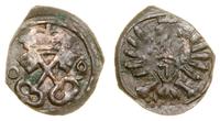 denar 1609, Poznań, skrócona data 0-9, czyszczon