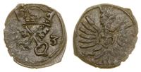 denar 1603, Poznań, głowa Orła w prawo, skrócona