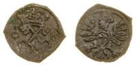 denar 1608, Poznań, skrócona data 0-8, rzadki, p