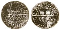 Zakon Krzyżacki, szeląg, 1416–1422