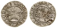 Polska, półgrosz koronny, bez daty (1502–1506)