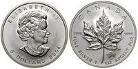 5 dolarów 2004, Ottawa, Liść Klonowy, srebro pró