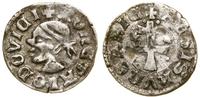 denar ok. 1358–1371, Aw: Głowa Saracena w lewo, 