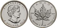 5 dolarów 2010, Ottawa, liść klonu, srebro próby