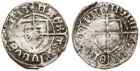 szeląg 1426–1436, Toruń, Aw: Tarcza Wielkiego Mi
