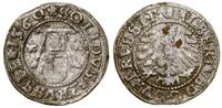 szeląg 1560, Królewiec, rzadszy rocznik, moneta 