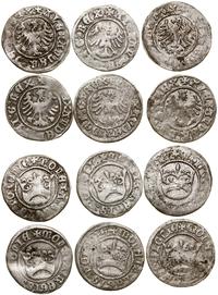 zestaw: 6 x półgrosz koronny bez daty (1502–1506