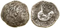 Celtowie Wschodni, tetradrachma typu Schnabelpferd, III–II wiek pne