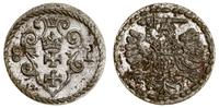 denar 1581, Gdańsk, blask menniczy, pięknie zach