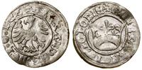 Polska, pólgrosz koronny, bez daty (1502–1506)