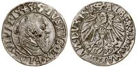 grosz 1545, Królewiec, końcówka legendy PRVSS, B