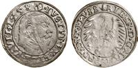 grosz 1558, Królewiec, niedobity, bardzo rzadki 