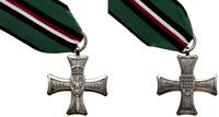 Krzyż Narodowego Czynu Zbrojnego 1992–1999, Krzy